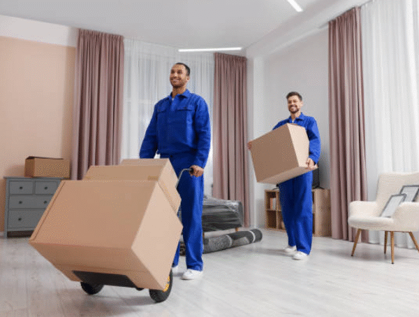 Moving Within the Gold Coast: Tips for a Smooth Move Between Suburbs